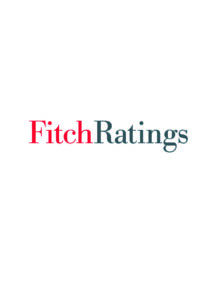 Fitch Rating 2022